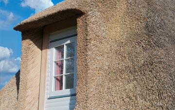 Suisnish thatch roof disadvantages