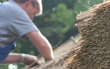 professional Suisnish thatchers