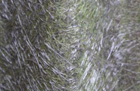 Suisnish fibreglass roof work