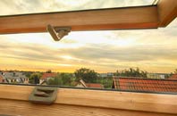 rated Suisnish roof window companies