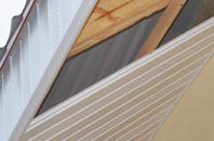 rated Suisnish soffit repair companies